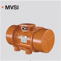 随心购lvibras振动电机MVSI 15/700E-S02